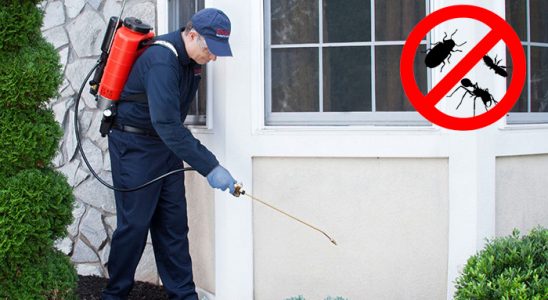 Aşkale Kemirgen İlaçlama böcek ilaçlama ve haşere kontrolü — ilaclama-tr.com